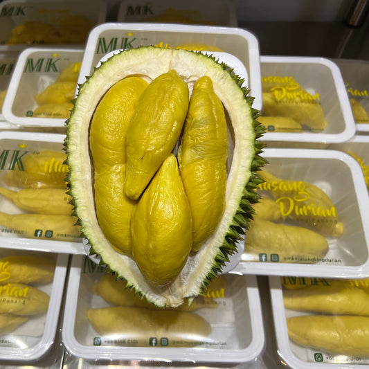 OldTree / BlackGold Mao Shan Wang Durian | MK Musang King (猫山王榴莲）