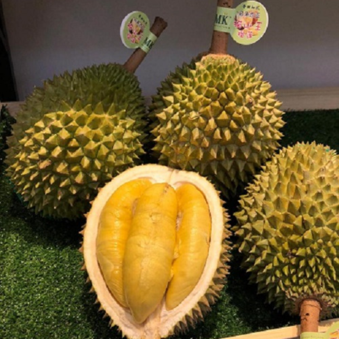 Explore the Richness of MK Musang King Durian