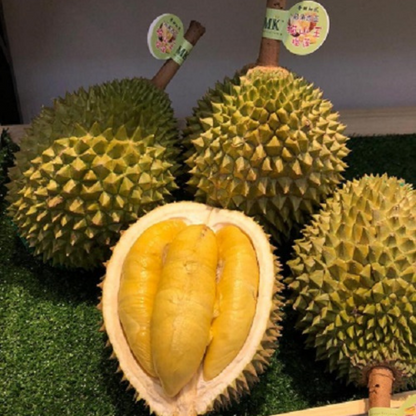 Durian | MK Musang King