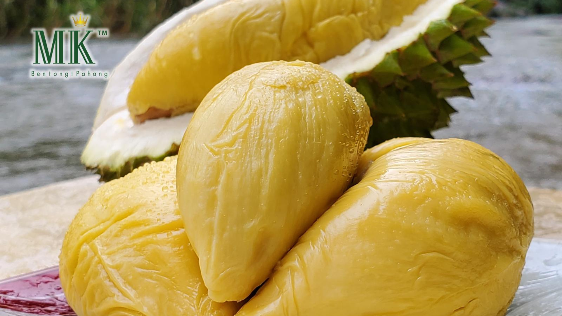 Durian Health Benefits | MK Musang King