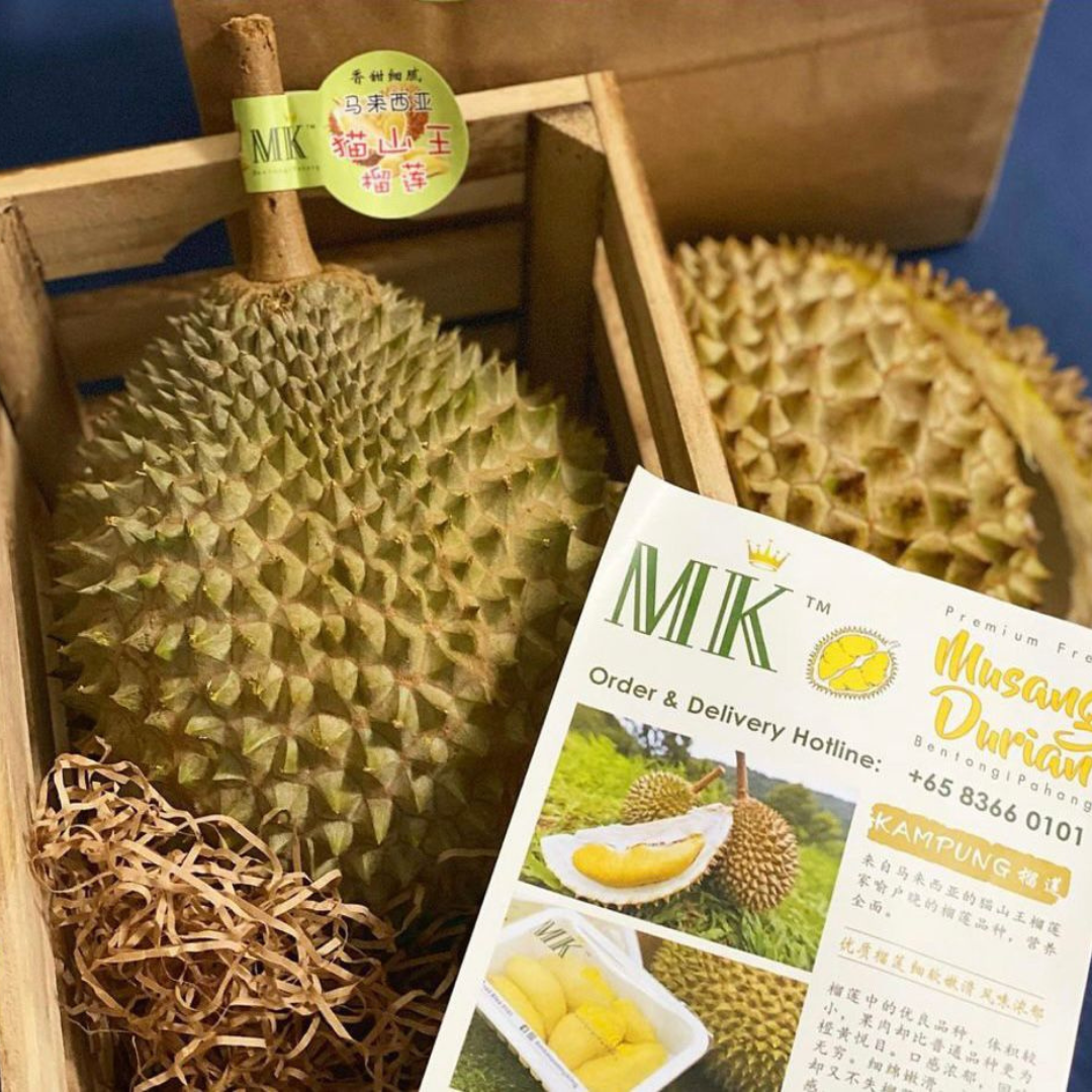 King Of King Durian | MK Musang King